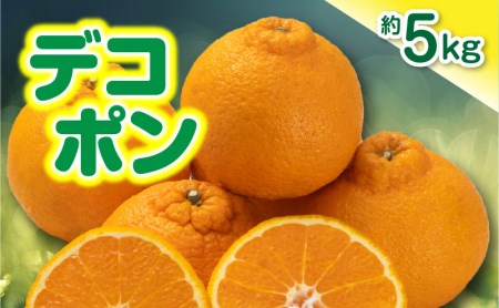 ご家庭用デコポン約5kg 濃厚ぷりっぷりっ♪