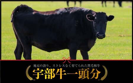 【数量限定】宇部牛 一頭分 黒毛和牛 Ａ５ランク 冷蔵 約300kg 和牛シャトーブリアンから牛タン、ホルモンまで、食べてみっちゃ、おいしいけえ