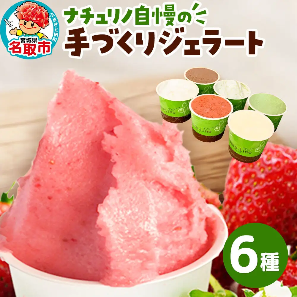 ナチュリノ自慢の手づくりジェラート 6種 自然派 人気店 Gelateria Natu-Lino natulino