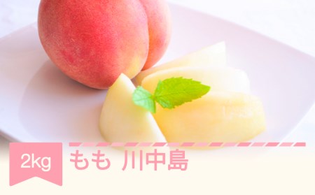 【先行予約】もも 桃 川中島 約2kg 令和8年産 2026年産 山形県産 果物 フルーツ 送料無料 ※沖縄・離島への配送不可 mm-moknx2