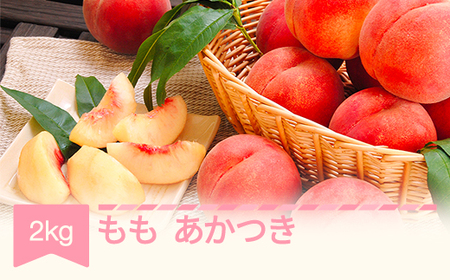 【先行予約】もも 桃 あかつき 約2kg 令和8年産 2026年産 山形県産 果物 フルーツ 送料無料 ※沖縄・離島への配送不可 mm-moatx2