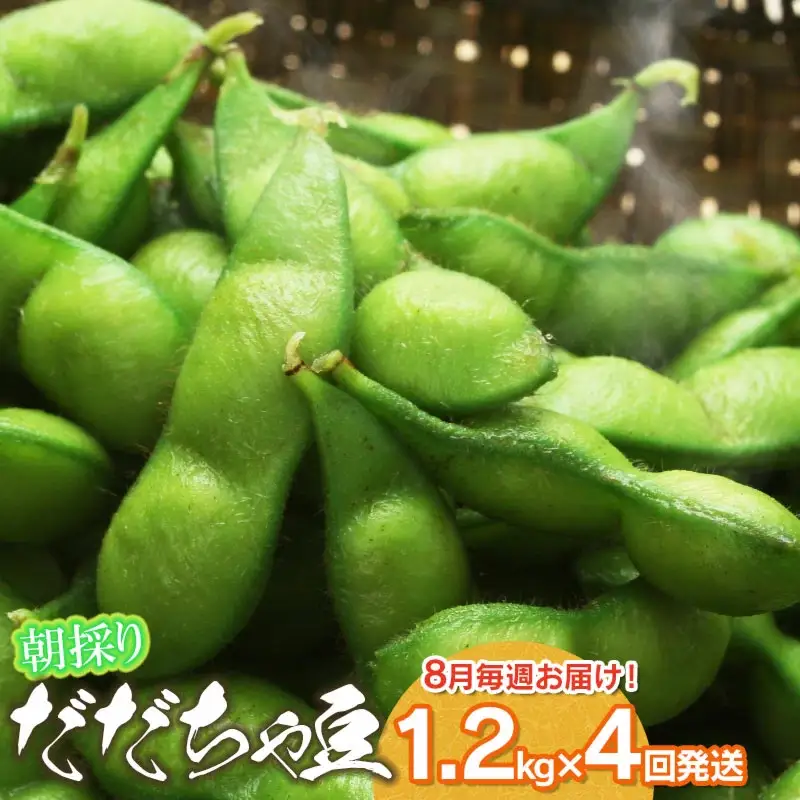 【4回定期便】【令和8年産先行予約】 朝採りだだちゃ豆　だだちゃ豆好き必見！毎週お届け！4回発送 1.2kg(600g×2袋)×4回　山形県鶴岡市産　株式会社菜な八（鶴岡ファーマーズ）