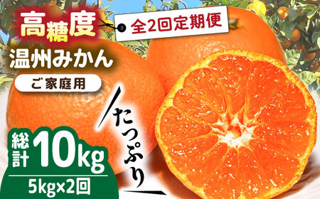 【2026年12月-発送】【大満足！ 2回 定期便 】温州みかん 約5kg / みかん 定期便 ミカン 蜜柑 長崎県産みかん 糖度 果物 くだもの 果物定期便 フルーツ ふるーつ フルーツ定期便 旬 家庭用 5kg / 南島原市 / 南島原果物屋 [SCV017]