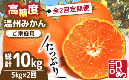 【2026年12月-発送】【2回定期便】温州みかん 約5kg（傷もの）みかん / 南島原果物屋 [SCV018]