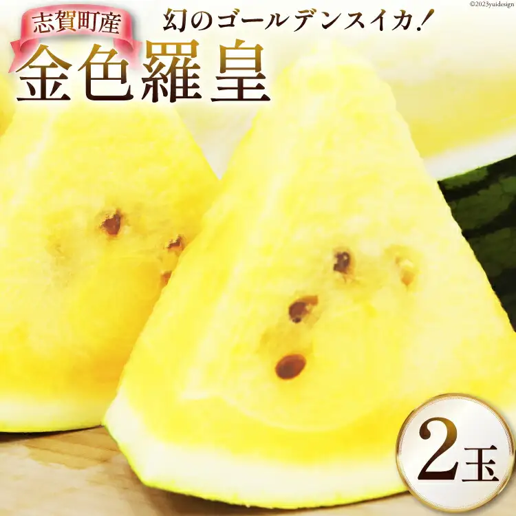 【期間限定】 金色 羅皇 (黄色) 【幻の ゴールデンスイカ】 2玉 [米吉農園 石川県 志賀町 BA4120]