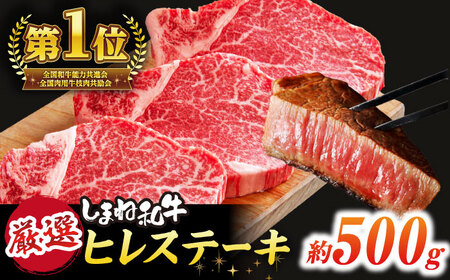 しまね和牛 ヒレステーキ 500g [ALEF001] 牛肉 ヒレ