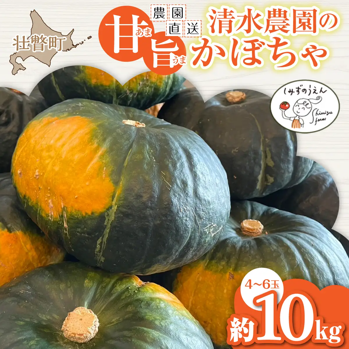 ＜2026年9月初旬よりお届け＞【農園直送】清水農園のかぼちゃ(甘旨）約10kg (4～6玉) SBTO013