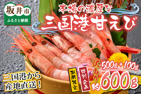 【特別企画】【訳あり】三国港から産地直送！「三国港甘えび」 500g + 100g 合計約600g ～本場の濃厚な甘海老を是非ご賞味ください！～ 【わけあり ワケアリ 濃厚 甘い 刺身 生食可 生 冷凍 有頭 新鮮 魚介類 国産 県産】 [A-6233]