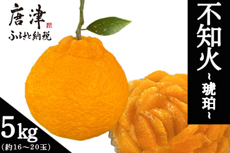 『先行予約』【令和9年2月中旬より順次発送】唐津産 不知火(琥珀) 約5kg(約16～20玉) デコポン でこぽん ミカン みかん 柑橘 フルーツ 果物