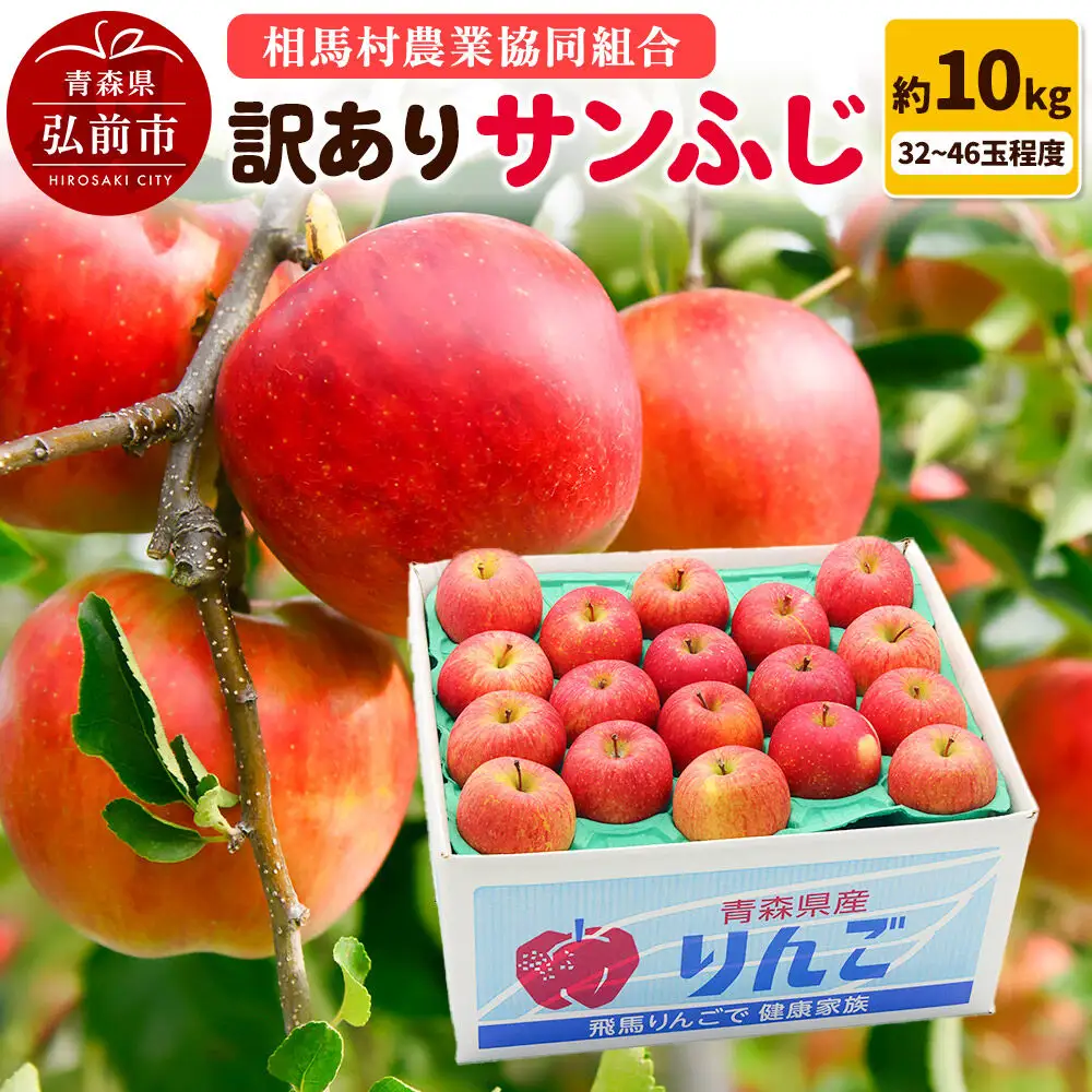 【27年3月クール便発送】りんご サンふじ【訳あり】約10kg（32～46玉程度）