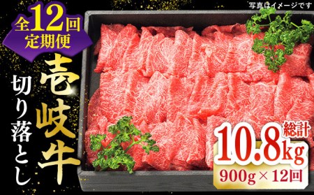 【全12回定期便】 特選 壱岐牛 切り落とし900g (牛丼/炒め物/すき焼き) [JDL033]