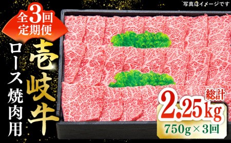 【全3回定期便】 特選 壱岐牛 ロース 750g（焼肉用）《壱岐市》【太陽商事】[JDL076] 冷凍配送 黒毛和牛 A5ランク お肉 牛肉 和牛 黒毛和牛 肉 高級 霜降り 焼肉 ロース肉 BBQ ローストビーフ 贈答 焼肉用 150000 150000円 15万円 九州
