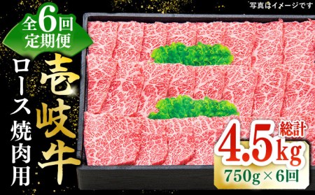 【全6回定期便】 特選 壱岐牛 ロース 750g（焼肉用）《壱岐市》【太陽商事】[JDL077] 冷凍配送 黒毛和牛 A5ランク お肉 牛肉 和牛 黒毛和牛 肉 高級 霜降り 焼肉 ロース肉 BBQ ローストビーフ 焼肉用 300000 300000円 30万円 九州