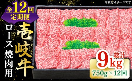 【全12回定期便】 特選 壱岐牛 ロース 750g（焼肉用）《壱岐市》【太陽商事】 [JDL078] 冷凍配送 黒毛和牛 A5ランク お肉 牛肉 和牛 黒毛和牛 肉 高級 霜降り 焼肉 ロース肉 BBQ ローストビーフ 焼肉用 600000 600000円 60万円 九州