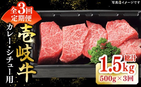 【全3回定期便】 特選 壱岐牛 すね肉 500g（カレー・シチュー用）《壱岐市》【太陽商事】[JDL082] 冷凍配送 黒毛和牛 A5ランク 肉 牛肉 黒毛和牛 ブランド牛 カレー シチュー 赤身 チマキ 煮込み ブロック 国産 九州 39000 39000円 九州