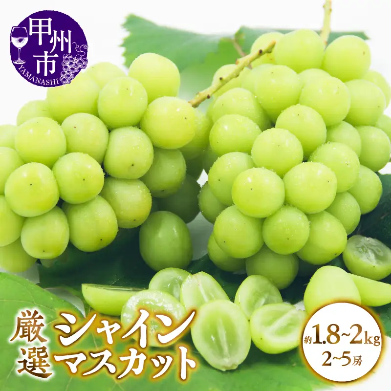 甲州市産 厳選 シャインマスカット 約1.8～2kg（2～5房）【2026年発送】（APX）B18-195 シャインマスカット フルーツ
