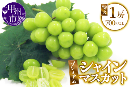 甲州市産 厳選 プレミアム特大シャインマスカット 1房入り 700g以上【2026年発送】（APX）B-196 シャインマスカット フルーツ