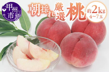 桃 甲州市産 厳選 桃 約2kg（4～7玉）【2026年発送】（APX）B-197 フルーツ