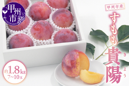 甲州市産 すもも『貴陽』約1.8kg（化粧箱大玉7～10玉）【2026年発送】（APX）B15-196  スモモ フルーツ
