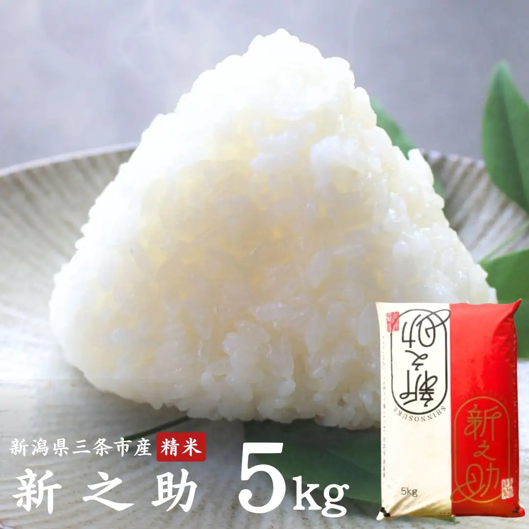 新之助5kg 新潟県三条市 精米 令和7年産新之助