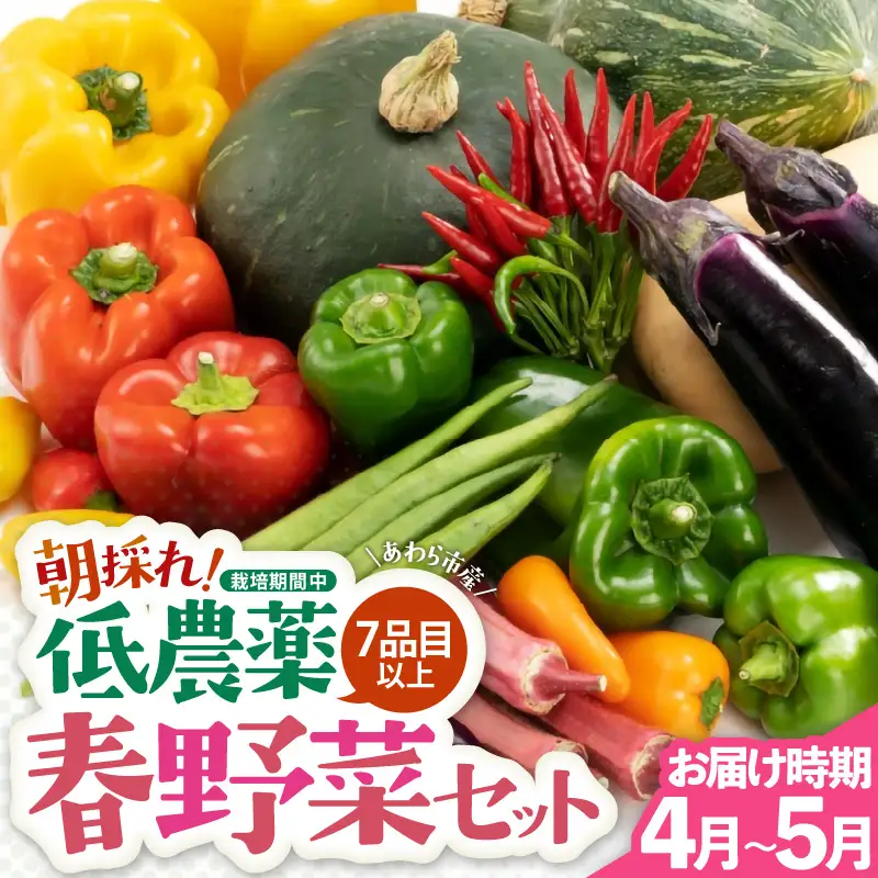 【先行予約】農家直送 春野菜セット 1箱 7品目以上 《元気に育った新鮮野菜！》／ 季節 春 野菜 ボックス BOX セット セレクト 農家 おまかせ 多品目 旬 詰め合わせ  ※2027年4月下旬以降発送 [aw028-a008]