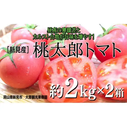 大原観光果樹園 桃太郎トマト 約2kg×2箱 【先行予約 7月下旬から順次発送】