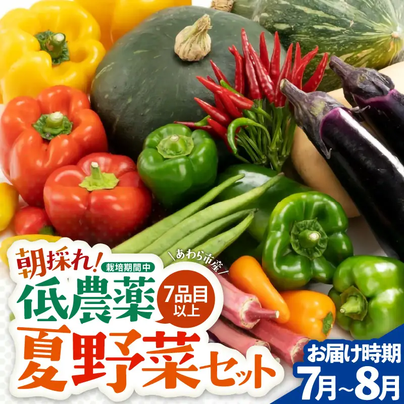 【先行予約】農家直送 夏野菜セット 1箱 7品目以上 《元気に育った新鮮野菜！》／ 季節 夏 野菜 ボックス BOX セット セレクト 農家 おまかせ 多品目 旬 詰め合わせ ※2026年7月中旬以降発送 [aw028-a009]