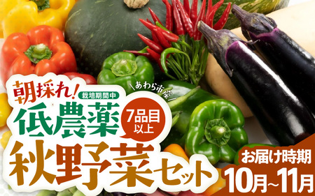 【先行予約】農家直送 秋野菜セット 1箱 7品目以上 《元気に育った新鮮野菜！》／ 福井 あわら市 季節 秋 野菜 ボックス BOX セット セレクト 農家 おまかせ 多品目 旬 詰め合わせ ※2026年10月下旬以降発送 [aw028-a010]