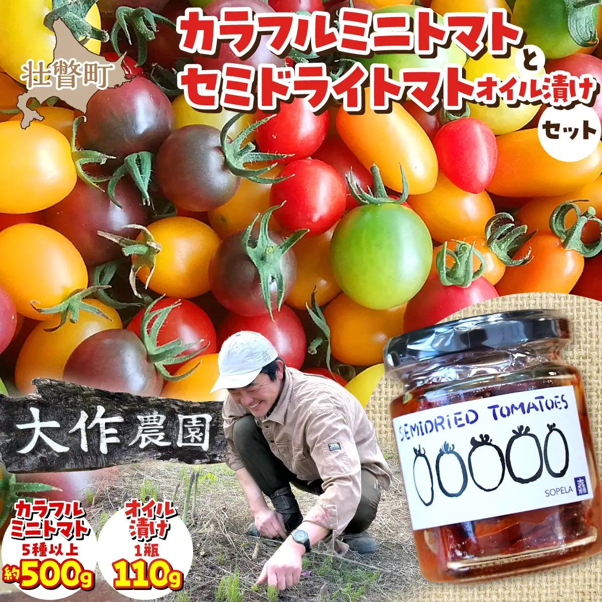 ＜2026年7月上旬よりお届け＞北海道壮瞥産 大作農園の「カラフルミニトマト」約500g（5種以上）とセミドライトマトオイル漬け1瓶（110g）のセット SBTR008