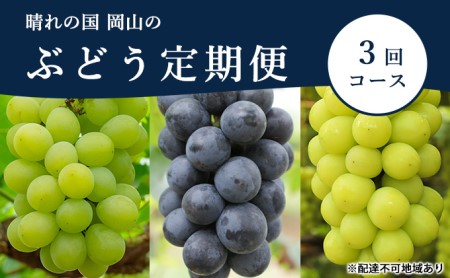 ぶどう 定期便 2026年 先行予約 晴れの国 岡山 の ぶどう定期便 3回コース