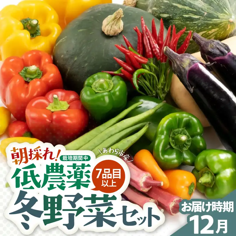 【先行予約】農家直送 冬野菜セット 1箱 7品目以上 《元気に育った新鮮野菜！》／ 季節 冬 野菜 ボックス BOX セット セレクト 農家 おまかせ 多品目 旬 詰め合わせ ※2026年12月上旬以降発送 [aw028-a011]