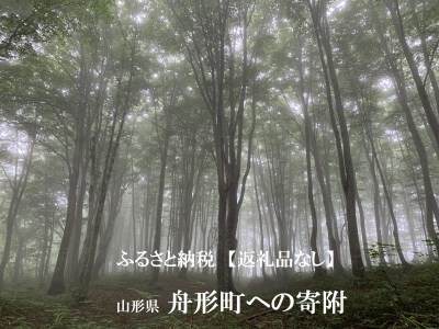 ふるさと納税【返礼品なし】　山形県舟形町への寄附