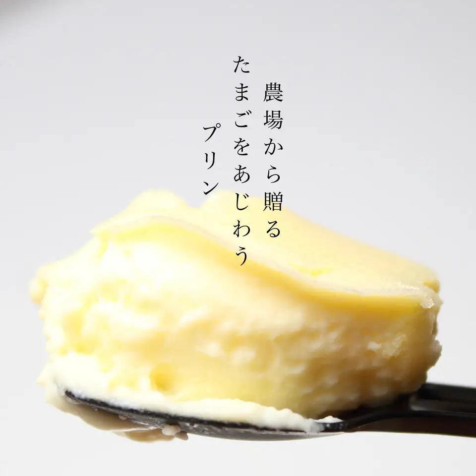 『四ツ葉農場』新鮮たまごの「ぷりんマドンナ」6個セット YO019_001