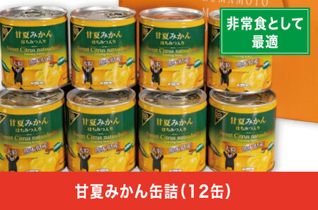 B80-15 甘夏みかん缶詰（12缶入）