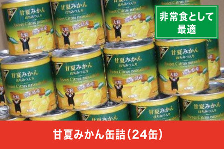 B83-26 甘夏みかん缶詰（24缶入）