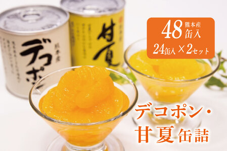 B34-50 デコポン、甘夏缶詰（48缶）