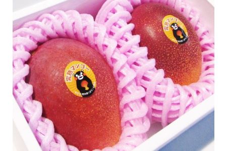 B58-20 完熟マンゴー（2Ｌ×2玉）