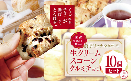国産発酵バター仕込み濃厚リッチな九州産生クリームスコーン クルミチョコ10個セット | お菓子 菓子 おかし 洋菓子 焼き菓子 イギリス菓子 チョコスコーン クルミ おやつ デザート スイーツ 手作り ティータイム アフタヌーンティー 大分県 中津市 送料無料