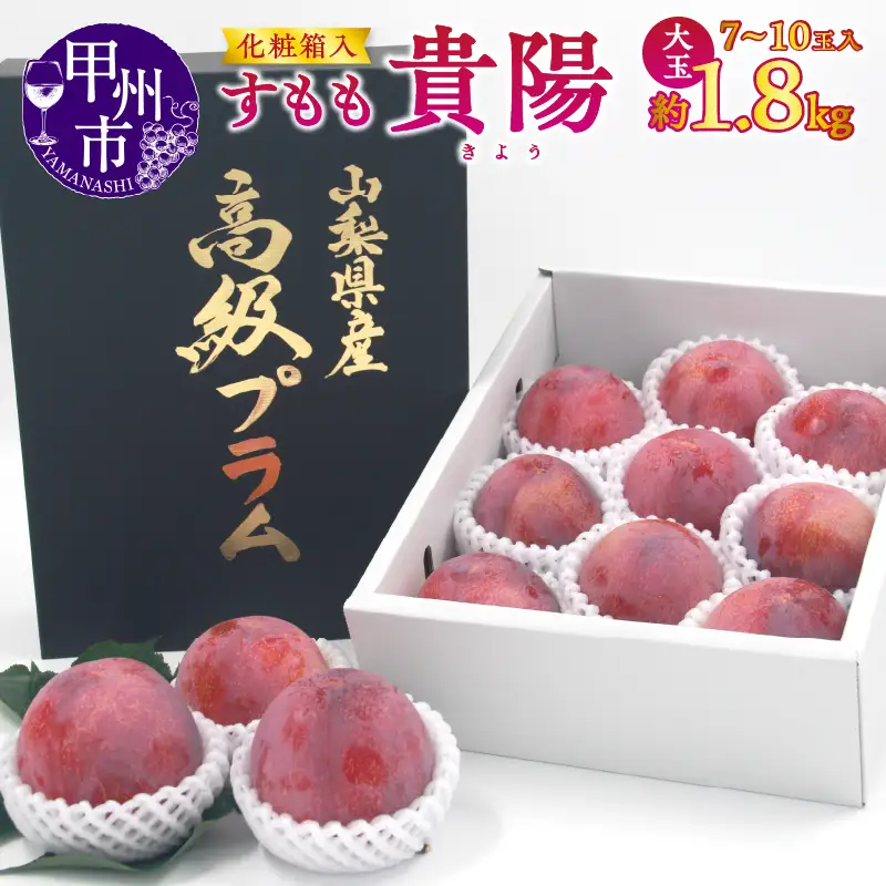 【宿沢フルーツ農園】すもも『貴陽』約1.8kg 化粧箱大玉（7～10玉）【2026年発送】（SF）B15-141 すもも フルーツ