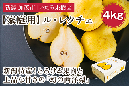 【2026年先行予約】新潟特産 幻の洋梨ル・レクチェ 家庭用 約4kg（8～12玉）《11月下旬～順次出荷》 令和5年新潟県ル・レクチェ果実品評会「県知事賞」いたみ果樹園