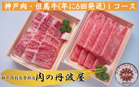 神戸ビーフ 定期便 年6回 Iコース 〈兵庫県産〉 神戸牛 牛肉