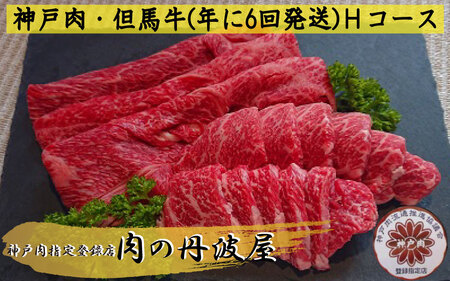 神戸ビーフ 定期便 年6回 Hコース 〈兵庫県産〉 神戸牛 牛肉