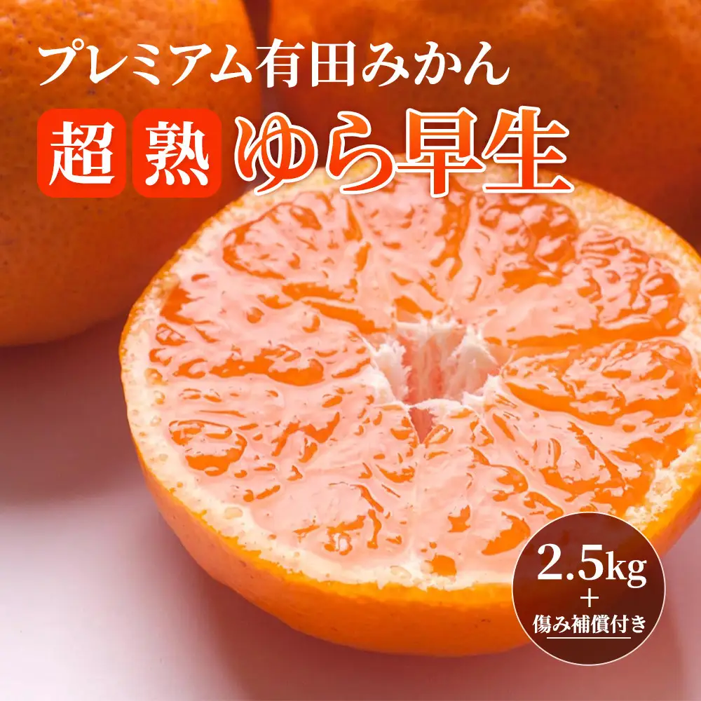 ［先行予約］プレミアム 有田みかん2.5kg+250g（傷み補償分）［2026年10月初旬から2027年1月末日頃順次発送予定］［IKE251］
