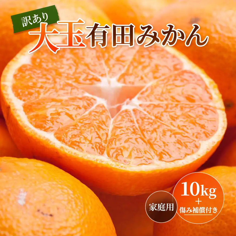 ［先行予約］家庭用 大きな有田みかん10kg+250g（傷み補償分）［2026年11月中旬から2027年1月末日頃、順次発送予定］［IKE243］