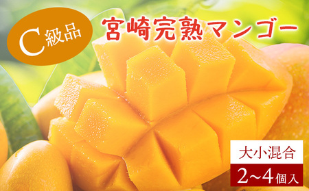 ＜先行予約＞【生産者応援】訳あり！糖度13度以上！平均15度！ご家庭用 宮崎完熟マンゴー1.5～1.7 kg（2Lサイズ2玉入の約2倍！）_K005-019