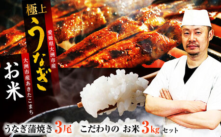 うなぎ 3尾＋お米（3kg）【冷蔵】うなぎ 国産 [AGAH005]鰻