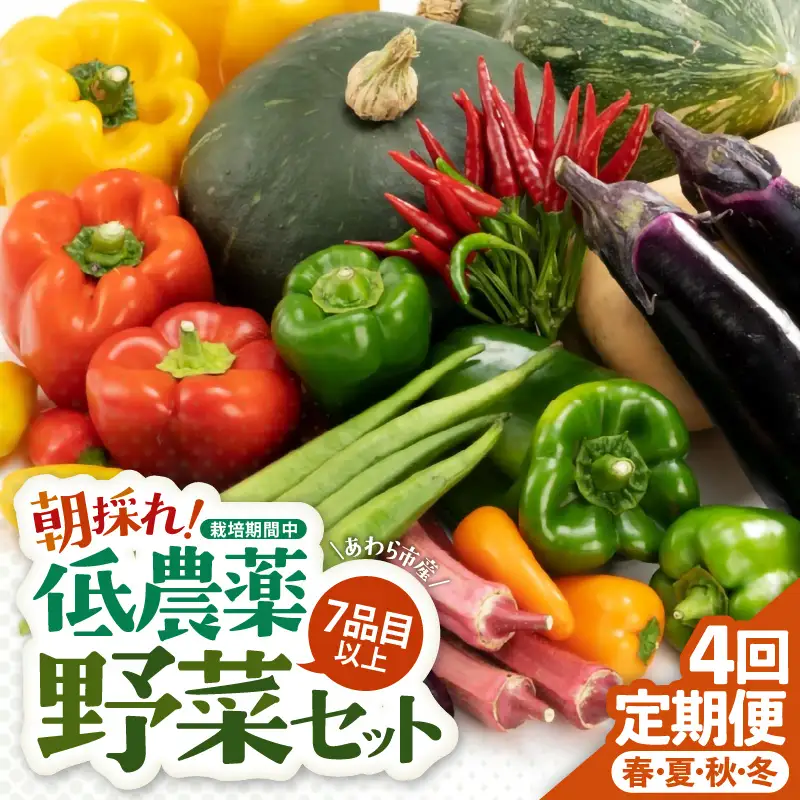 ＜定期便 4回＞ 新鮮野菜セット 1箱 7品目以上 【春 夏 秋 冬 発送】／ 季節 野菜 ボックス BOX セット セレクト 農家 おまかせ 多品目 旬 詰め合わせ 根菜 葉物  [aw028-b001]