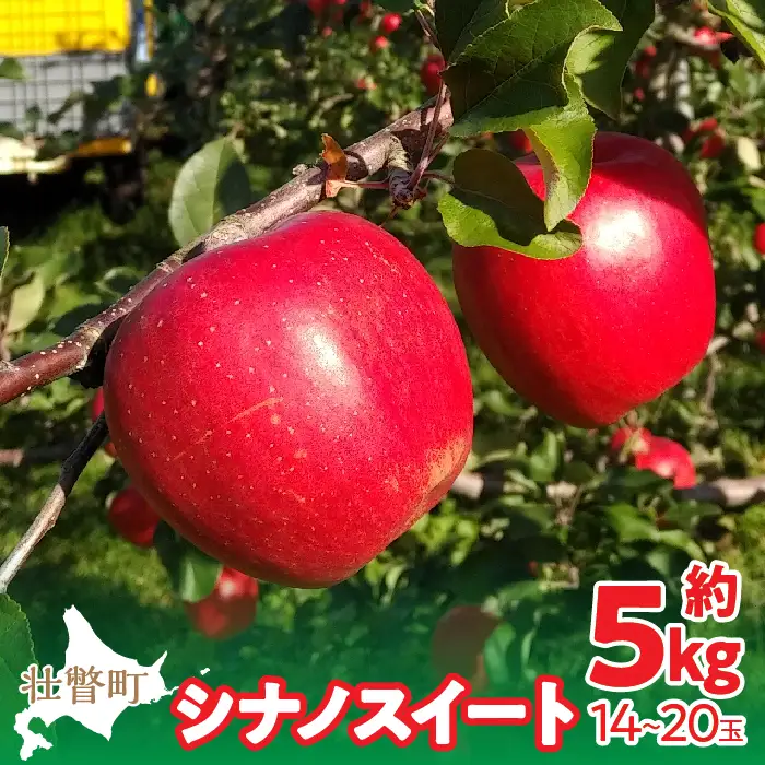 【先行予約】北海道壮瞥町産りんご「シナノスイート」約5kg(12～18玉)＜2026年10月下旬よりお届け＞ SBTF012
