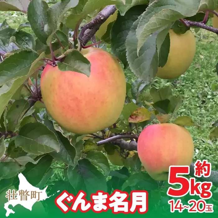 【先行予約】北海道壮瞥町産りんご「ぐんま名月」約5kg(12～20玉)＜2026年11月中旬よりお届け＞ SBTF013