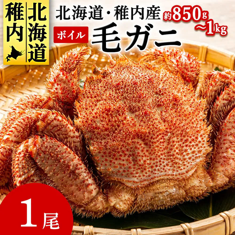 北海道産 毛ガニ 1尾 850g～1kg (ボイル)【2025製造】【配送不可地域：離島・沖縄県】